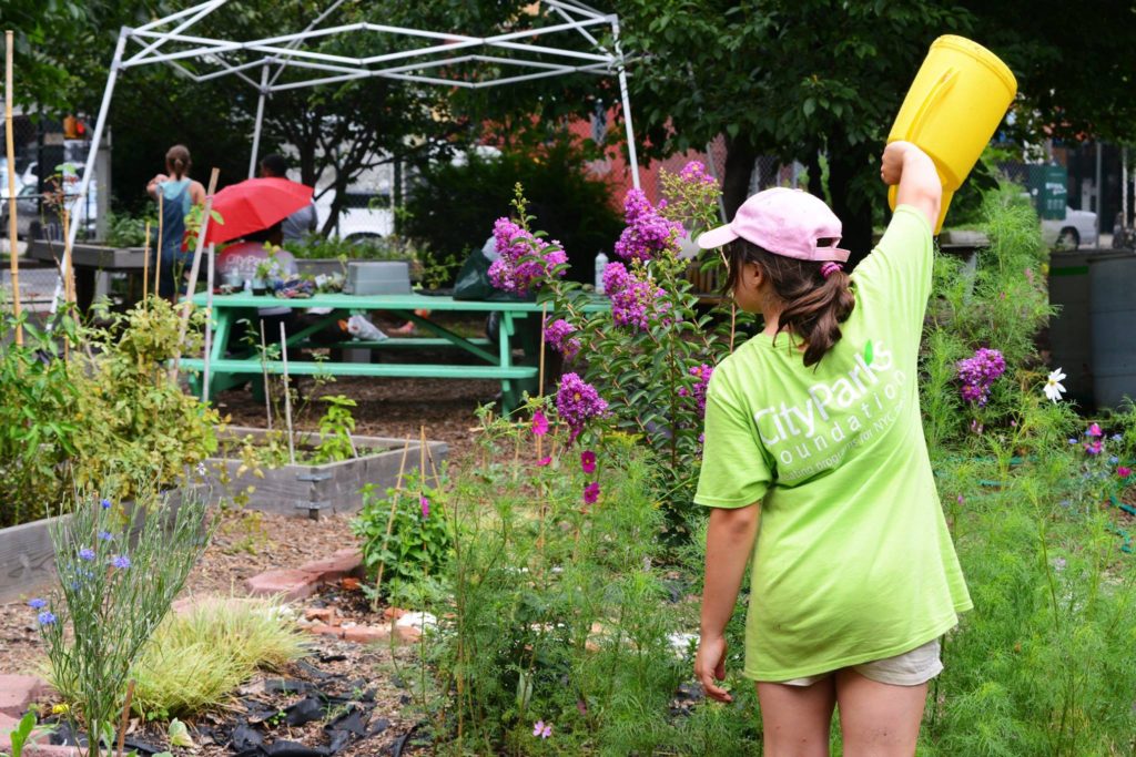 City Parks Foundation is the only independent, nonprofit organization whose mission is to offer programs in public parks throughout the five boroughs of New York City. At City Parks Foundation, we are dedicated to invigorating and transforming parks into dynamic...